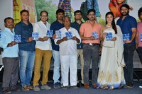 Tharuvatha Evaru Movie Audio Launch